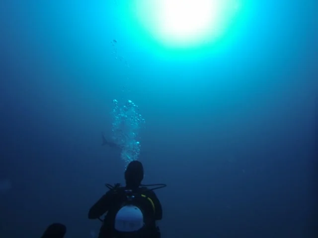 dcim100gopro